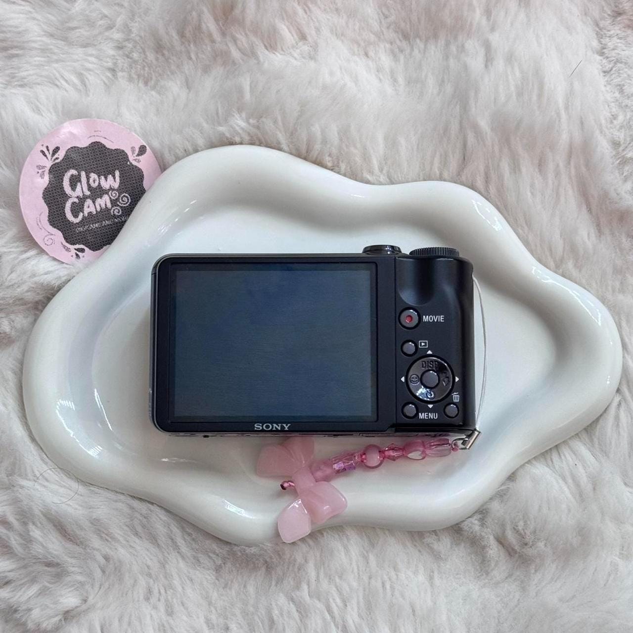 Sony cyber shot dsc digital camera