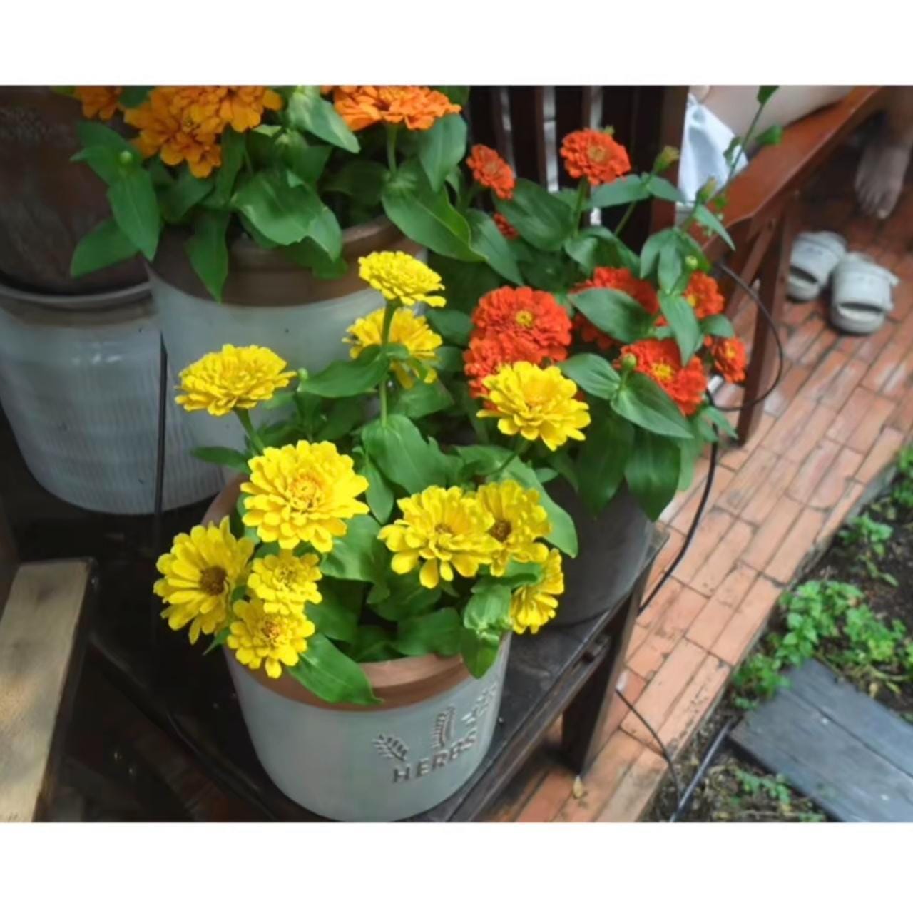 Samsung sl620 digital camera