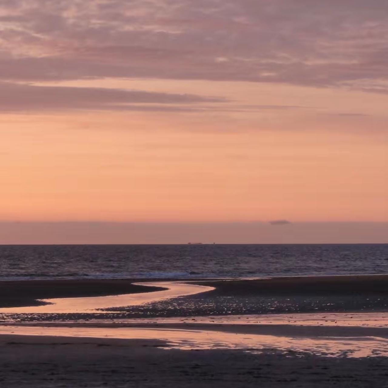 Sony cyber shot dsc digital camera